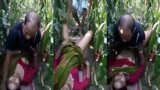 खेत का नज़ारा, बांग्लादेशी रंडी की मस्ती। खुलेआम चुदाई, हॉट वीडियो।