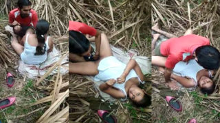 मोटी देहाती लड़की MMS - Punjabi XXX गांव का अश्लील वीडियो।