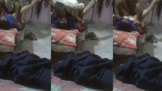 बूढ़े आदमी और लड़की की दोस्त का अश्लील खेल, देसी एमएमएस में बड़ा कांड।