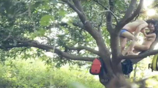 गर्लफ्रेंड के साथ पेड़ पर, हिंदी XXX वीडियो देखो।